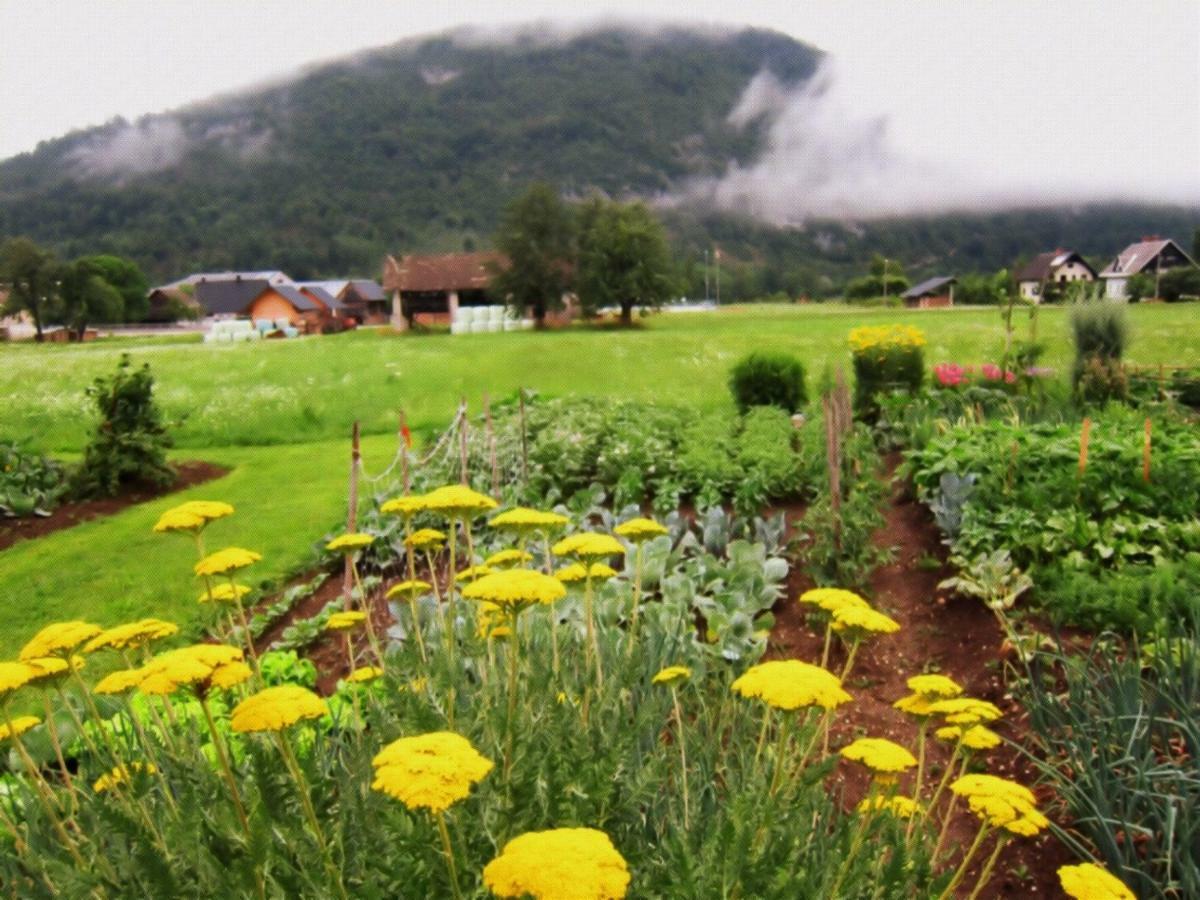 Casa Bohinj Leilighet Eksteriør bilde