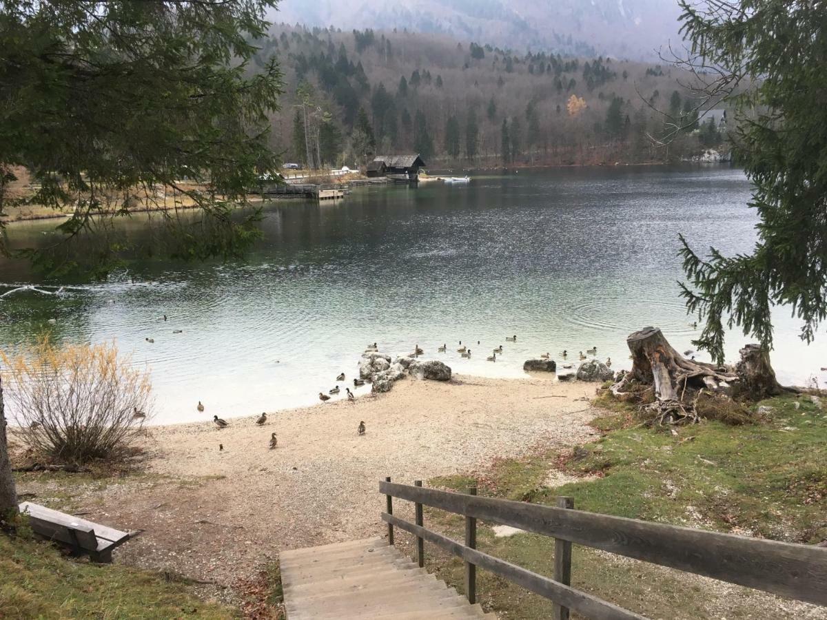 Casa Bohinj Leilighet Eksteriør bilde