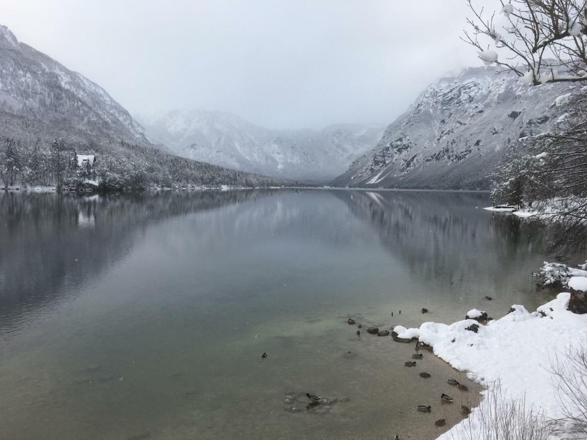 Casa Bohinj Leilighet Eksteriør bilde